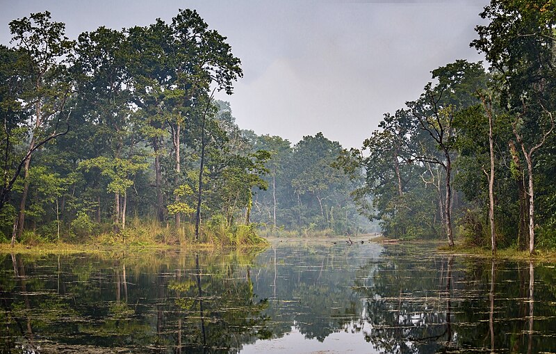 Chitwan National Park